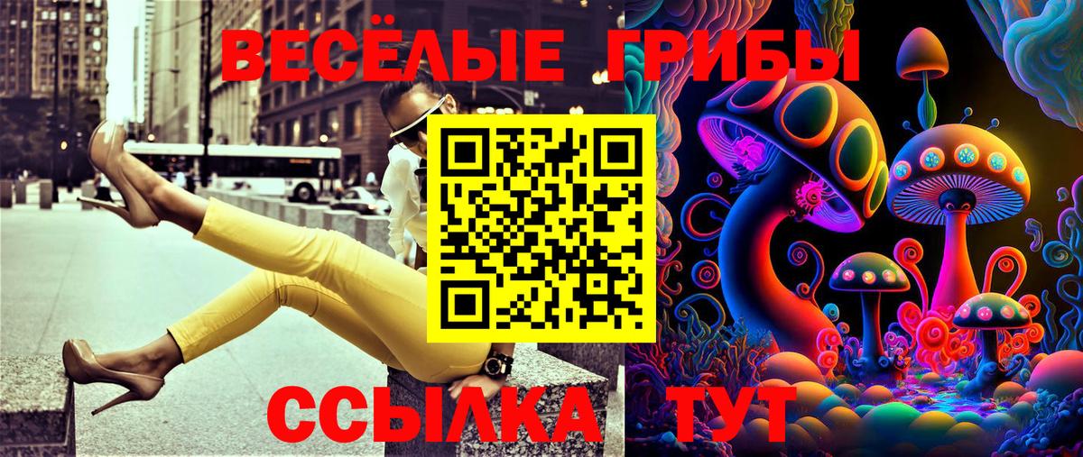 Тамбов  Галлюциногенные грибы Psilocybine cubensis  Вход с VPN 