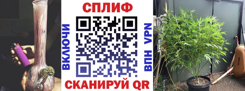МАРИХУАНА Bruce Banner  продажа наркотиков  Тамбов 